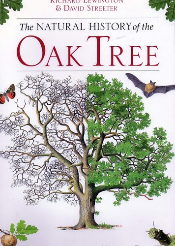 Oak tree natural - tree,,
