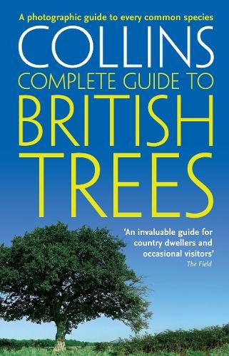 British trees photographic - trees:, a