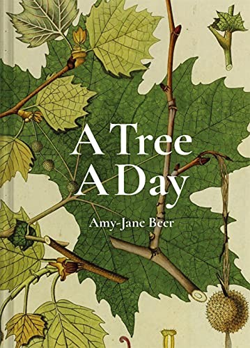 Tree day beer amy - tree, a