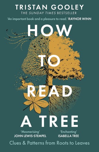 How read tree the sunday - tree:,