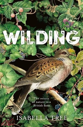 Wilding the return nature - wilding:, of