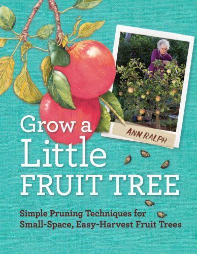 Grow little fruit tree by - a,