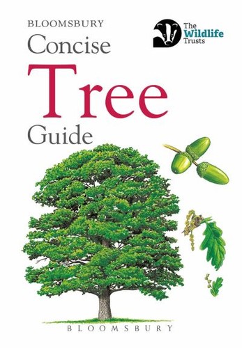 Concise tree guide - :, unknown