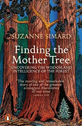 Finding the mother - finding,